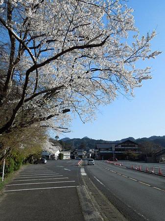 DSCN1732