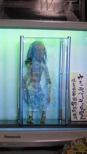 ウヌャニュペェィギュゥリュ 写真共有サイト フォト蔵