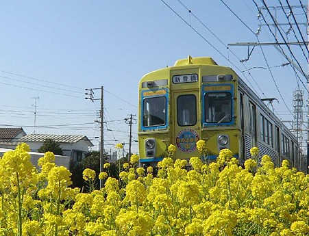 nanohanagou-240329-3