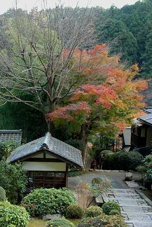 大原建礼門院西陵1