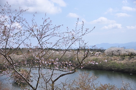 富士桜自然墓地公園橋の上から1