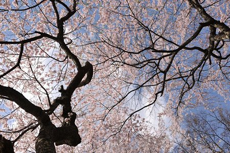 富士ビューホテル8