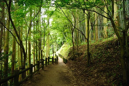 1106221544_DSC_1539