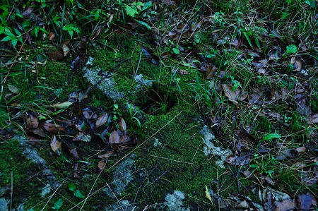 1107120719_DSC_5377