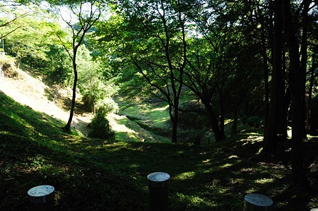 1107120723_DSC_5411