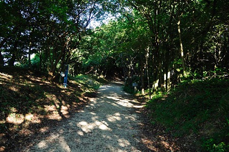 1107120742_DSC_5477