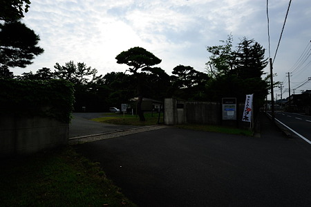 1108131617_DSC_4900
