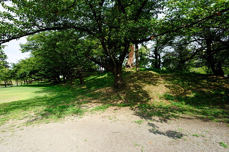1108140842_DSC_5126