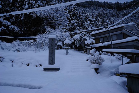 1101010752_DSC_5800
