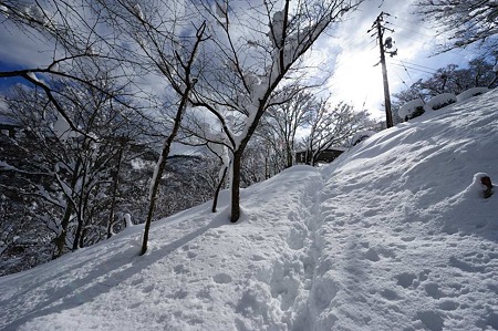 1101011211_DSC_6175