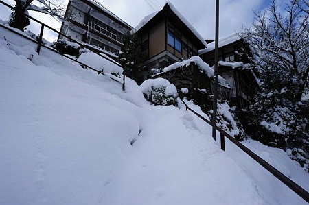 1101011338_DSC_6458