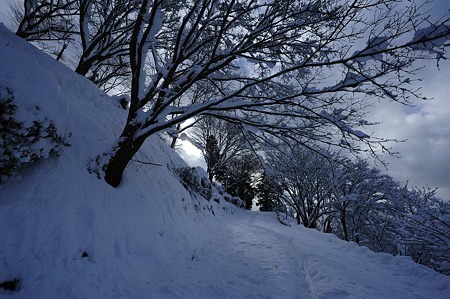 1101011404_DSC_6509