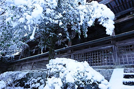 1101011432_DSC_6570