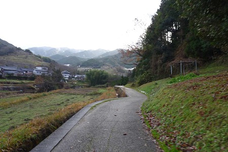 1101021005_P1720864
