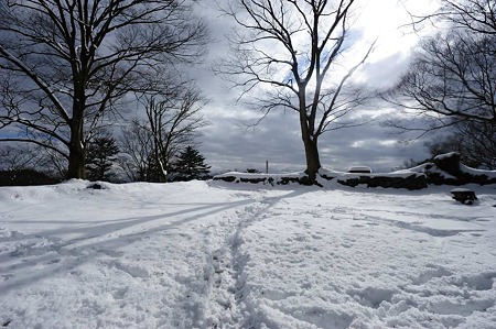 1101021245_DSC_7259