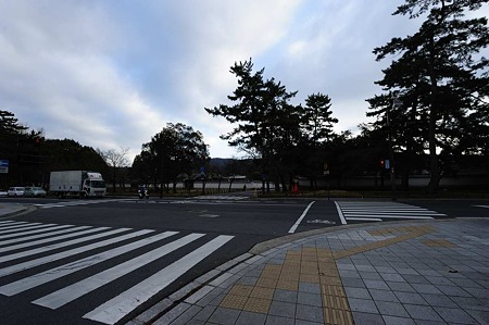 1101040824_DSC_8283