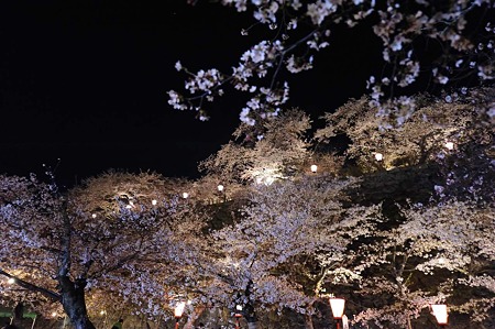 1104121928_DSC_9743