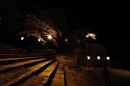 1104121940_DSC_9776