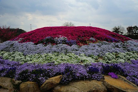 1104271032_DSC_9944