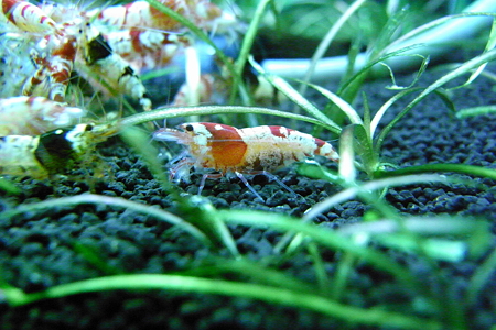RIMG0104