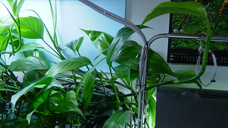 DSCF5025