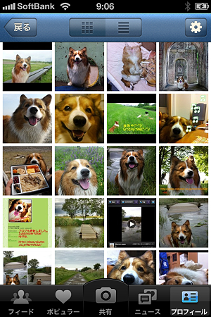 写真 5