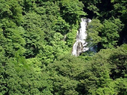 CIMG0348