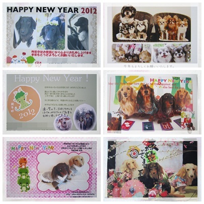 2012年 年賀状3