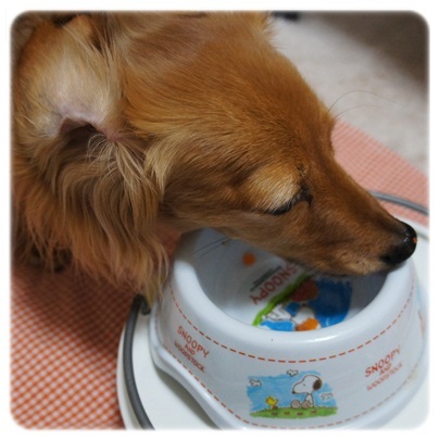 20120327 ウマウマ~♪