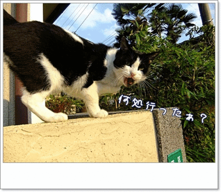 それで?