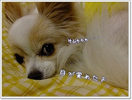 寒い