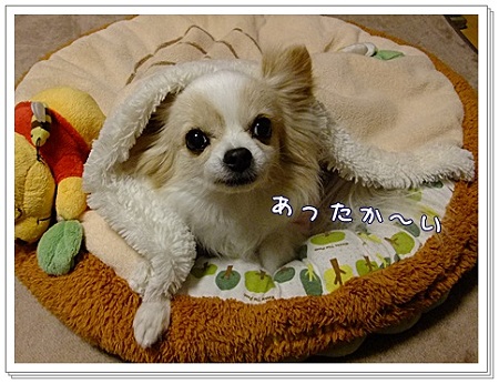 暖かいね