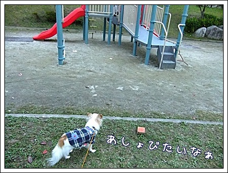 遊びたい