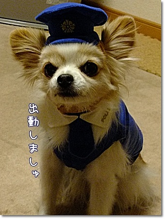 出動