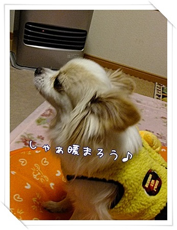 暖まる
