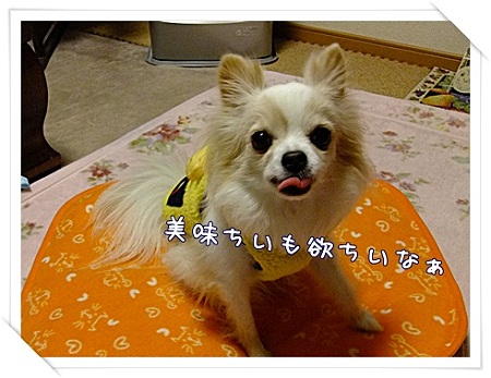 欲しい