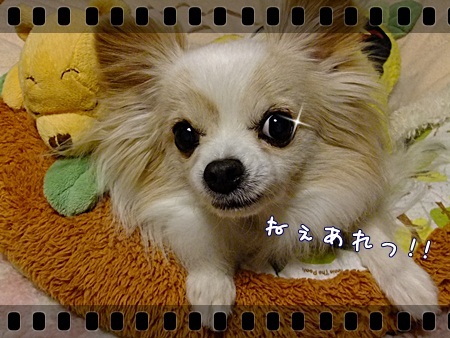 お願い