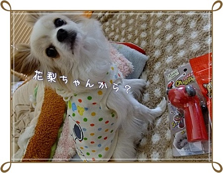 花梨ちゃんから?