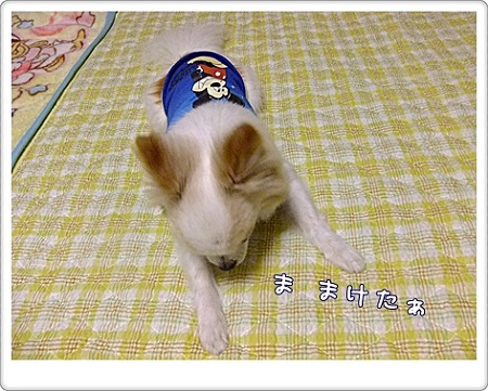 負けた~