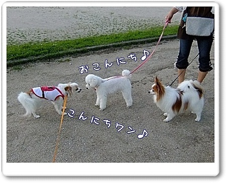 こんにちは