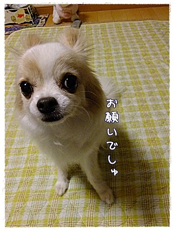 お願い