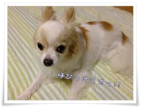 呼びつけて