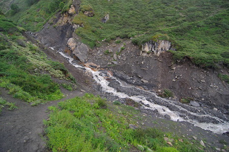 IMGP3019