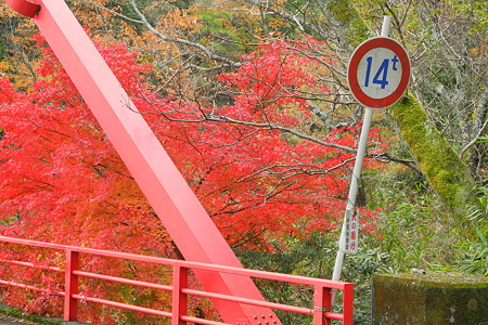 津風呂湖の紅葉2011-1