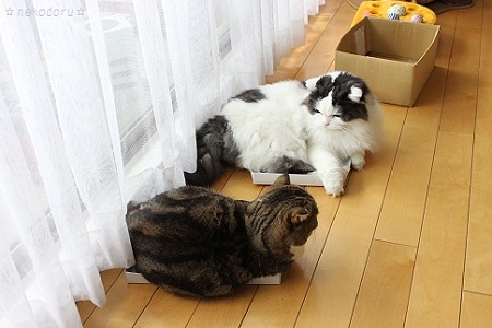 小さすぎ