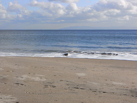R0011254