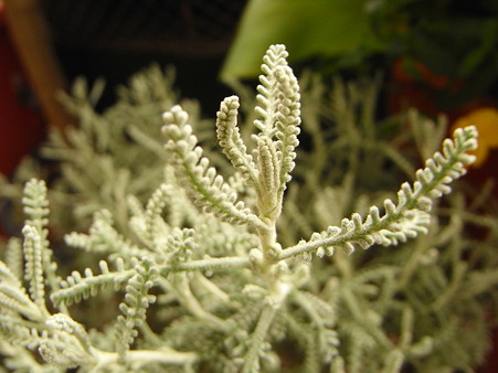 R0012467