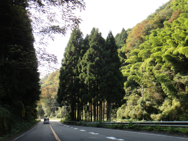 天気が良いほうがオープンの嬉しさ倍増