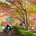岡崎東公園の紅葉